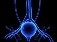 Top 10 Strategies for Better Bladder Health