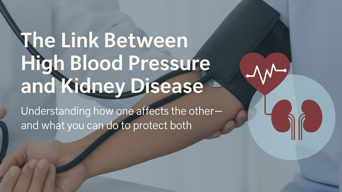 How High Blood Pressure Affects Your Kidneys and What You Can Do About It