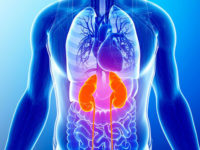 How High Blood Pressure Damages Your Body