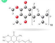 How CoQ10 Benefits Cholesterol and Heart Health
