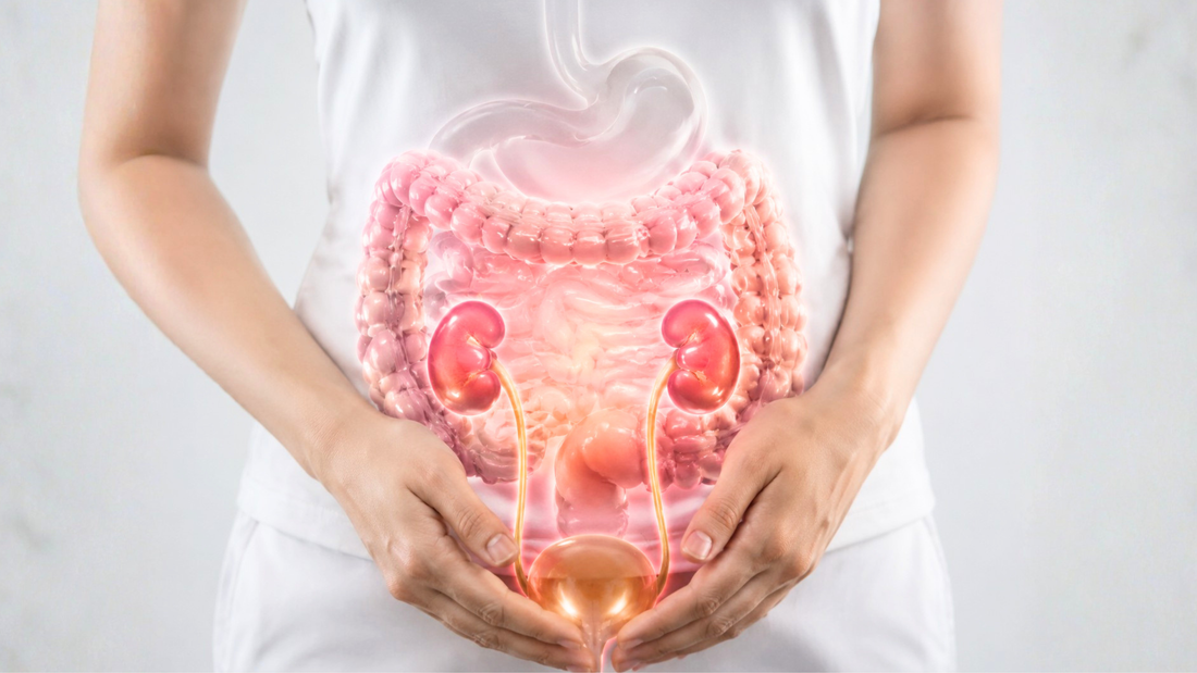 Could Your Gut Health Affect Your Risk of Kidney Stones?