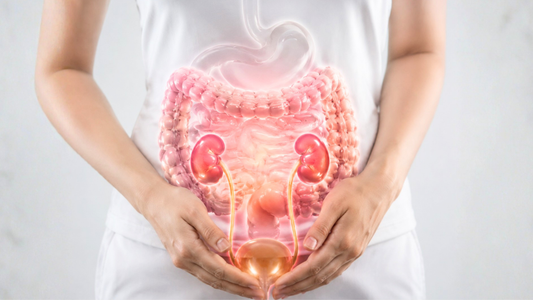 Could Your Gut Health Affect Your Risk of Kidney Stones?
