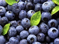 Berries’ Wonderful Health Boosting Benefits