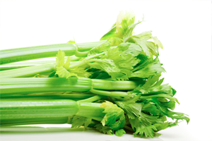 Celery and Celery Seed 
