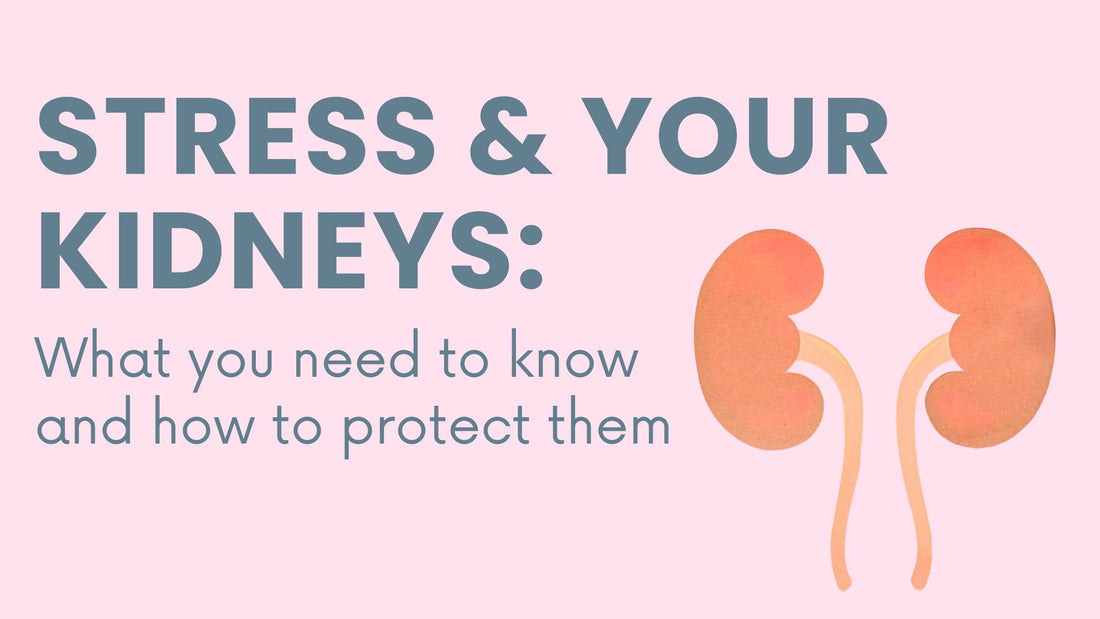 Stress and Your Kidneys: What You Need to Know And How to Protect Them