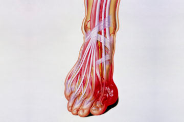 Lifestyle Habits that are Putting Millennials at Risk of Gout