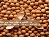 Using Soybean Extract to Help Control Cholesterol