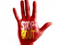 What You Should Know About Purines and Gout
