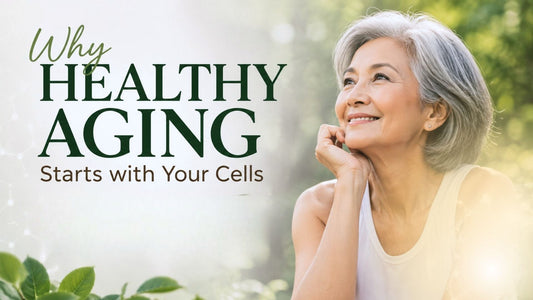 Why Healthy Aging Starts with Your Cells