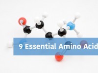 9 Essential Amino Acids