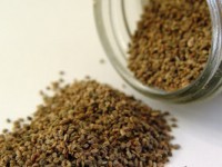 4 Key Benefits of Celery Seed for Gout