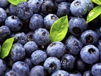 The Power of the Blueberry