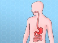 7 Ways to Improve Your Gut Health