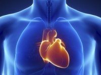 10 Foods to Lower Your Cholesterol