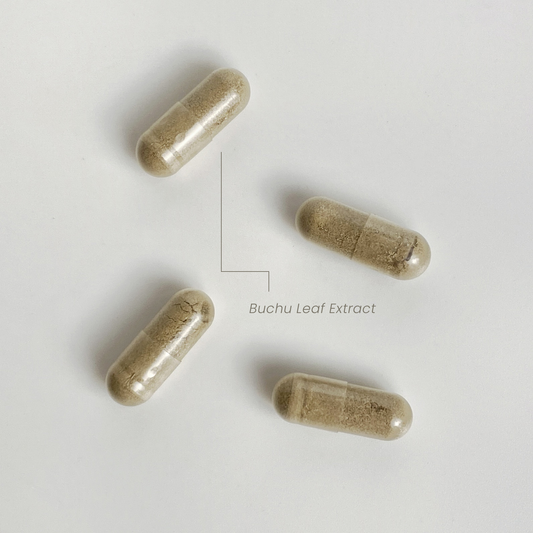 Buchu Leaves: A Key Ingredient for Kidney Stone Support
