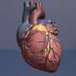Gout could increase heart disease risk