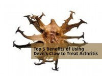Top 5 Benefits of Using Devil’s Claw to Treat Arthritis
