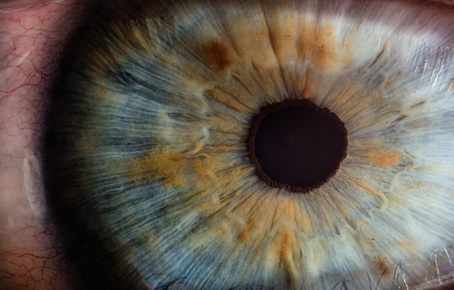 Keeping our eyes healthy