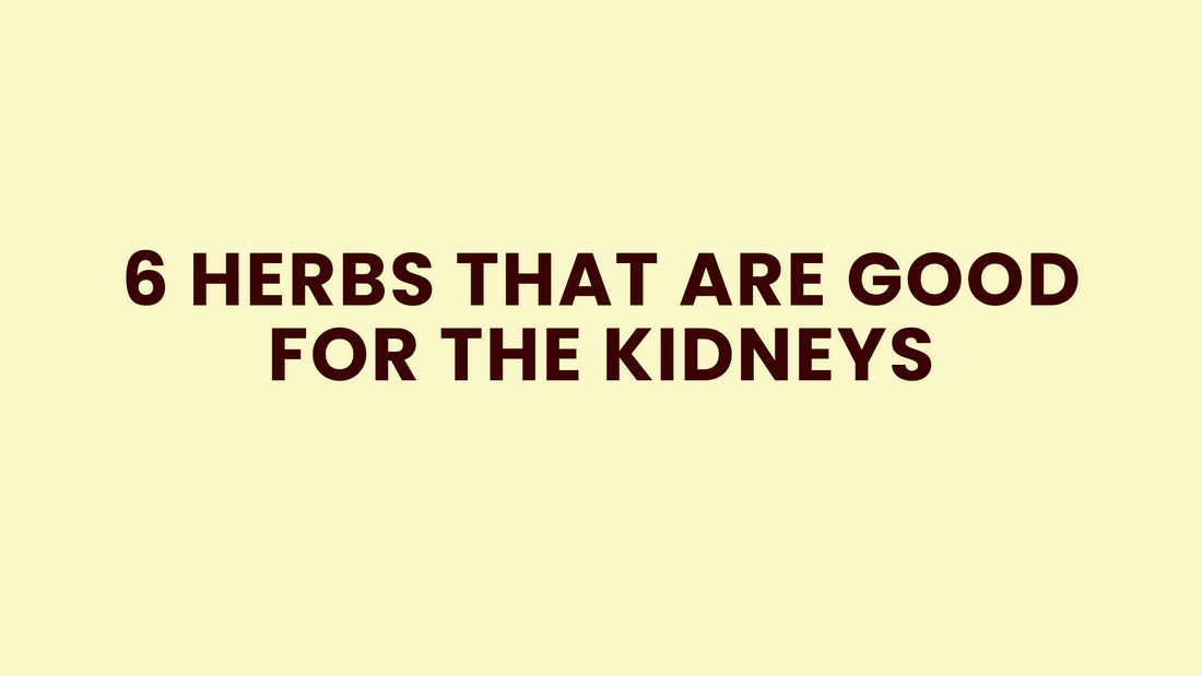 6 Herbs That Are Good for the Kidneys