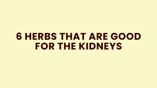 6 Herbs That Are Good for the Kidneys