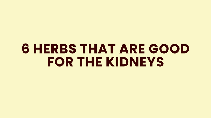 6 Herbs That Are Good for the Kidneys