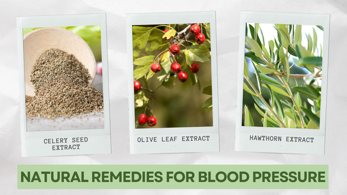 Natural Remedies for Blood Pressure Celery Seed Extract, Olive Leaf E